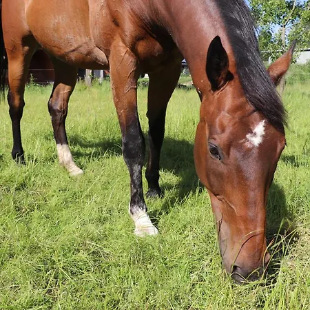 Hof Wuushoeh Apartmán